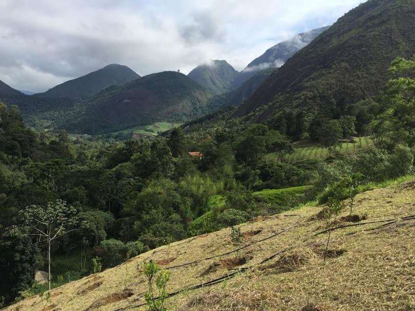 Pousada Quinta Das Nascentes Petrópolis 外观 照片