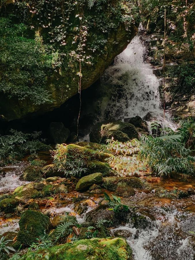 Pousada Quinta Das Nascentes Petrópolis 外观 照片